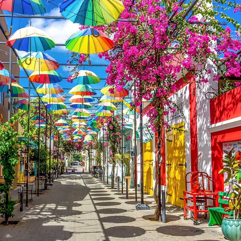 puertaplata